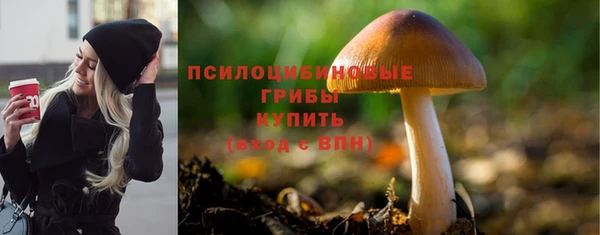 МДМА Козельск