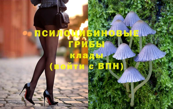 МДМА Козельск